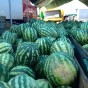 IMG_1054