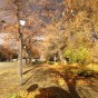 IMG_1460