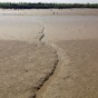 IMG_2444
