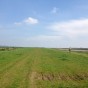 IMG_2470
