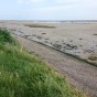IMG_2518
