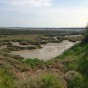 IMG_2531